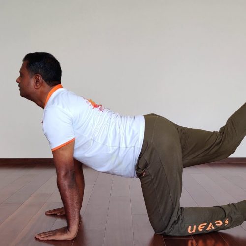 Samyama Yoga Classes (1)
